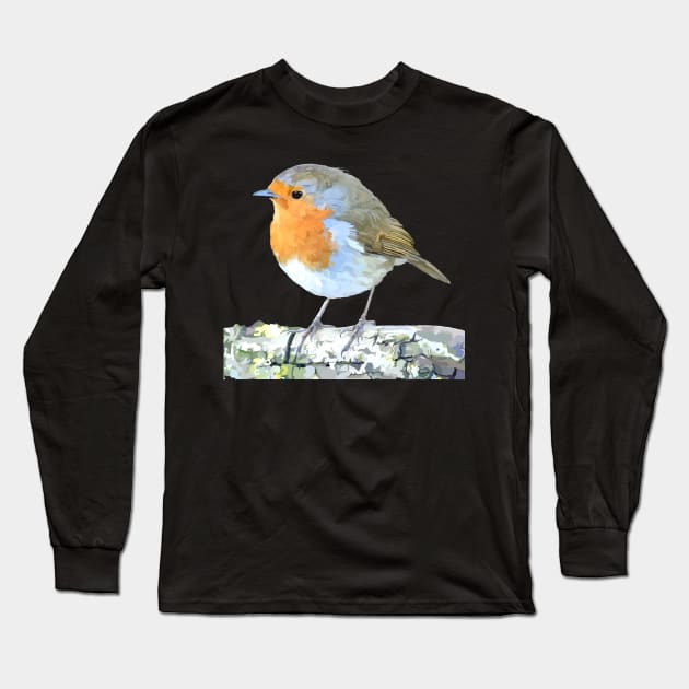 Curious Robin And Blue Sky Long Sleeve T-Shirt by NattyDesigns